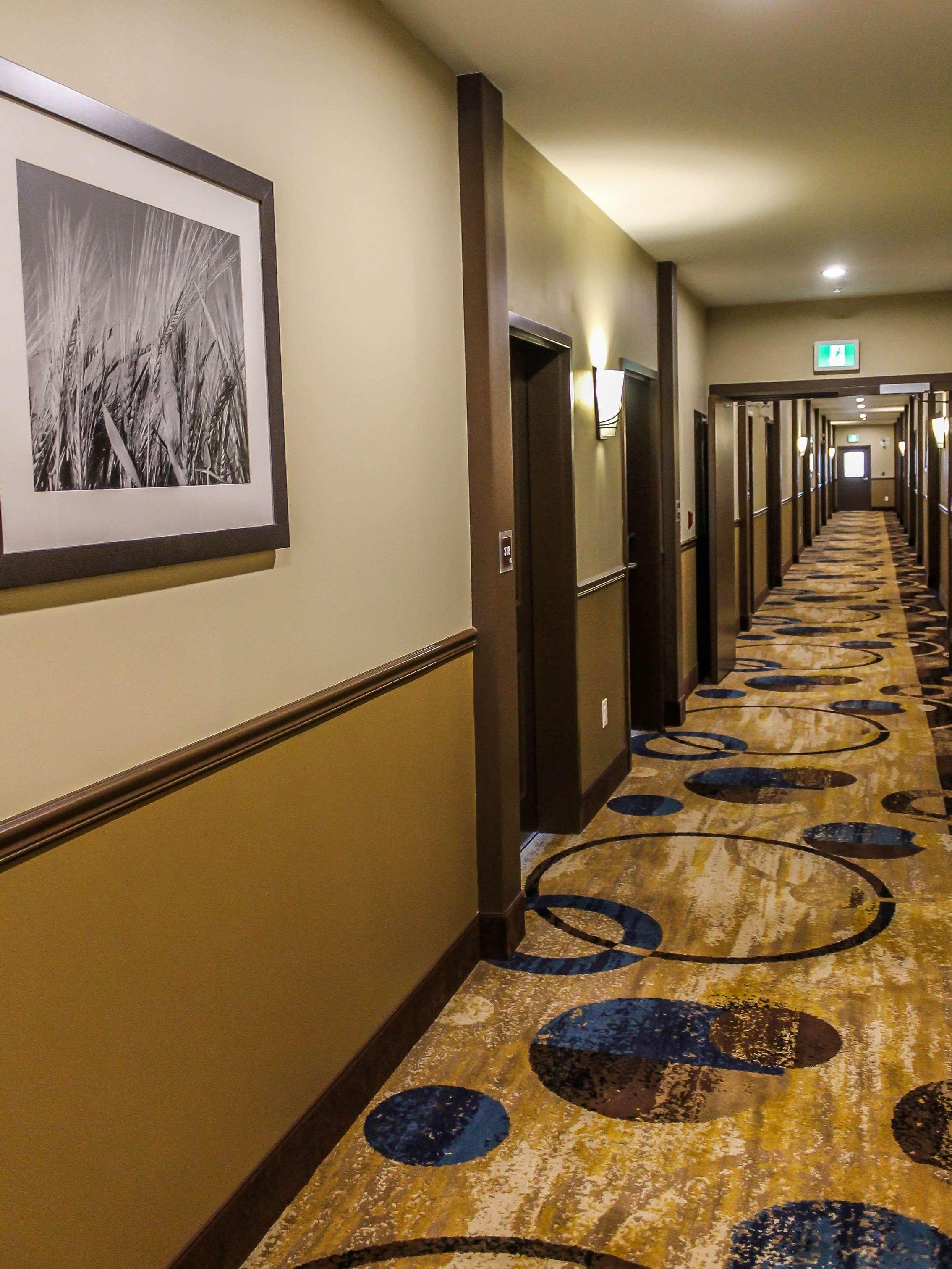 Best Western Plus Moosomin Hotel Екстериор снимка